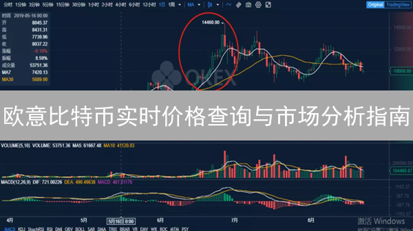 欧意比特币实时价格查询与市场分析指南
