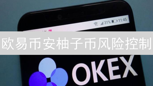 欧易币安柚子币风险控制：交易策略与技巧