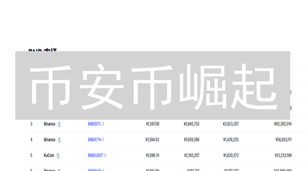 币安币崛起：会撼动比特币支付霸主地位吗？深度解析！