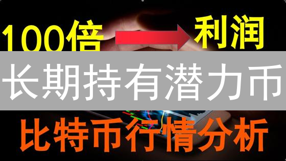 长期持有潜力币：下一个百倍币会是谁？深度解析！
