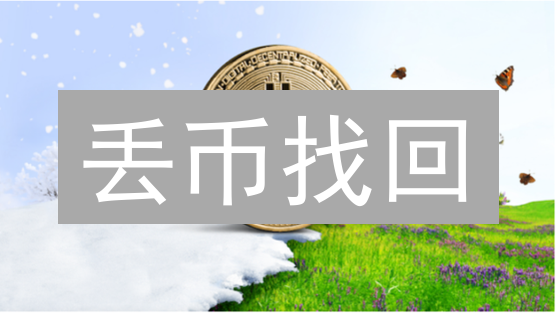 丢币找回？2024最全加密货币钱包密码恢复指南，告别资产损失！