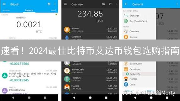 速看！2024最佳比特币艾达币钱包选购指南：别踩坑！