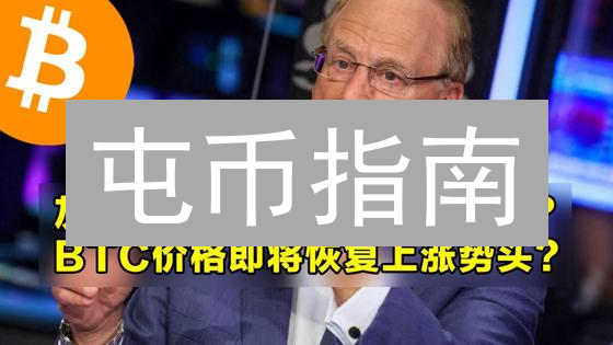 屯币指南：2024年潜力币种选择及策略详解