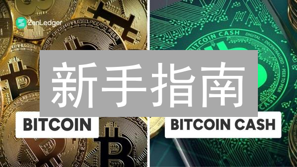 新手指南：5步搞定PHA币购买，避免踩坑！