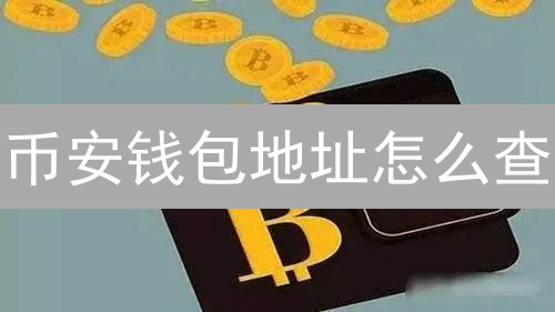 币安钱包地址怎么查？币安APP充值全攻略！