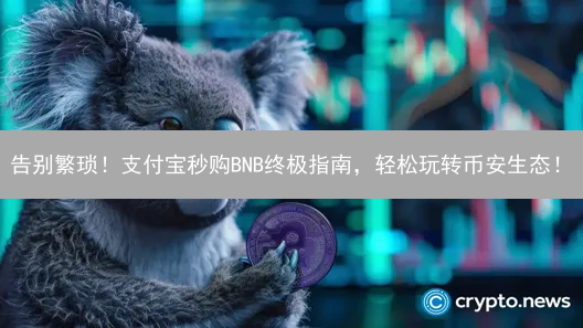 告别繁琐！支付宝秒购BNB终极指南，轻松玩转币安生态！