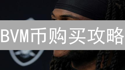 BVM币购买攻略：新手必看，风险防范指南！