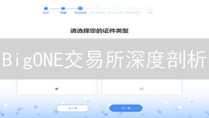 BigONE交易所深度剖析：揭秘其可靠性，资产安全吗？