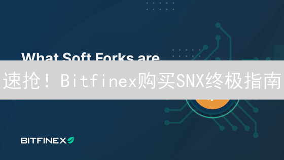 速抢！Bitfinex购买SNX终极指南：新手也能轻松上手！