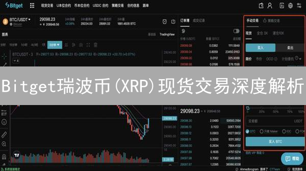 Bitget瑞波币(XRP)现货交易深度解析：掘金必备指南！