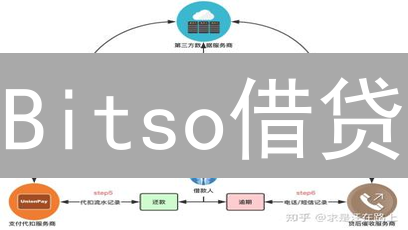 Bitso借贷：高收益与高风险并存，你敢挑战吗？