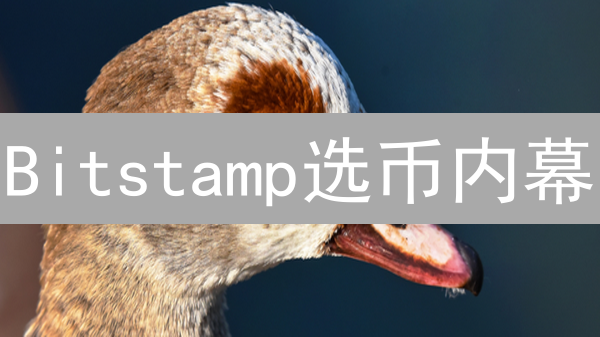Bitstamp选币内幕：让你秒懂财富密码！🚀