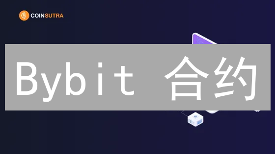 Bybit 合约：爆仓？教你玩转杠杆，放大收益！【新手必看】