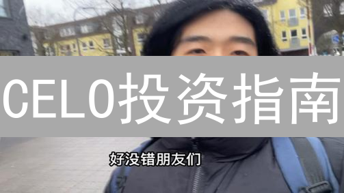 CELO投资指南：Binance购买与安全存储全攻略！