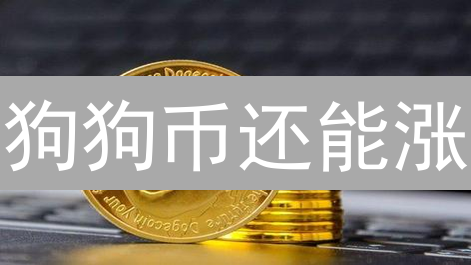 狗狗币还能涨？揭秘DOGE爆火背后的区块链技术！