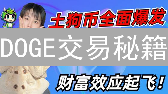 DOGE交易秘籍：手续费优化、批量交易与拥堵规避指南！
