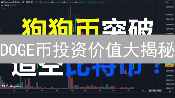 DOGE币投资价值大揭秘：是机遇还是泡沫？深度剖析！