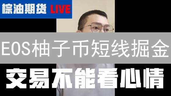 EOS柚子币短线掘金：Bitfinex交易策略与风险控制全攻略！
