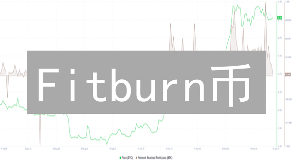 Fitburn币：运动也能赚钱？健康投资新选择！
