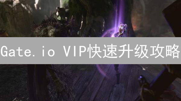 Gate.io VIP快速升级攻略：手续费折扣、专属福利，一文搞定！