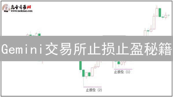 Gemini交易所止损止盈秘籍：告别爆仓，稳健盈利！