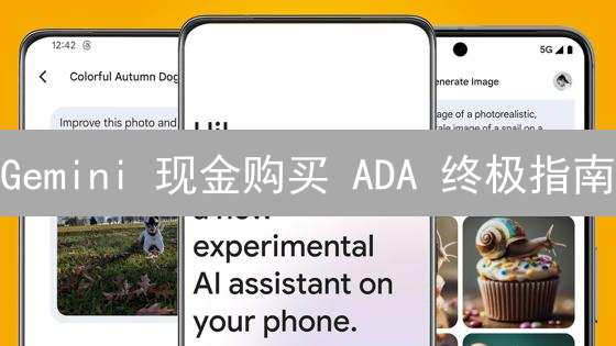 Gemini 现金购买 ADA 终极指南：3分钟掌握秘诀！