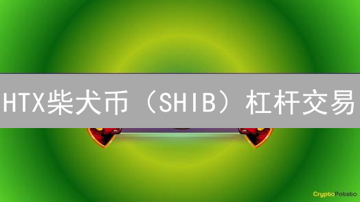 HTX柴犬币（SHIB）杠杆交易：新手必看爆仓防范指南！