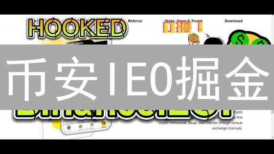 币安IEO掘金：新手必备申购攻略，躺赚？