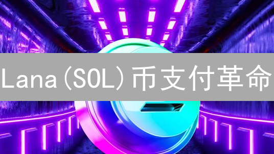Lana(SOL)币支付革命：速度、低费，挑战传统？