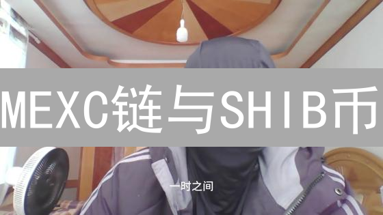 MEXC链与SHIB币：社区驱动的Meme币能擦出什么火花？