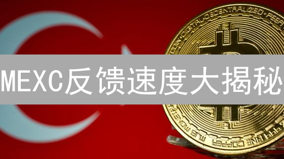 MEXC反馈速度大揭秘：是快如闪电还是石沉大海？