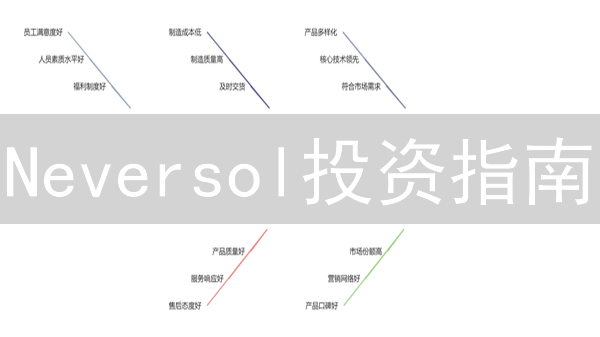 Neversol投资指南：暴富神话还是风险陷阱？速看！