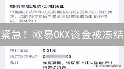 紧急！欧易OKX资金被冻结？快速解锁指南！