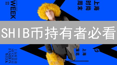 SHIB币持有者必看：安全存储、收益策略与社区治理全攻略！