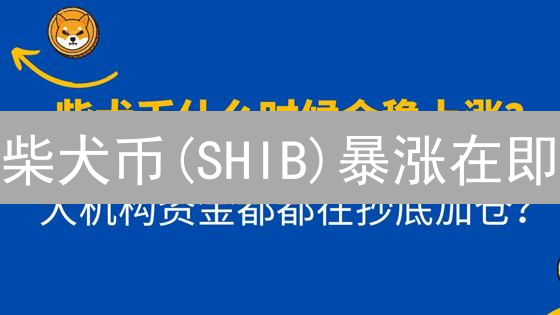 柴犬币(SHIB)暴涨在即？全面解析与风险预警！