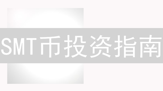 SMT币投资指南：交易所选择、风险控制与安全存储策略！