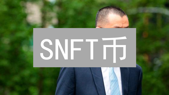 SNFT币：连接实物与数字世界的桥梁，价值几何？