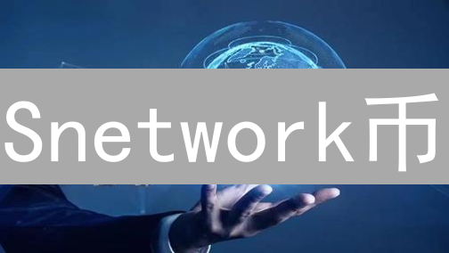 Snetwork币：颠覆社交？隐私革命还是泡沫？速看！