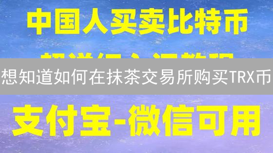 想知道如何在抹茶交易所购买TRX币？新手必看超详细教程！