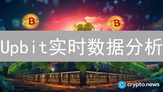 Upbit实时数据分析：新手也能掌握的交易秘诀？