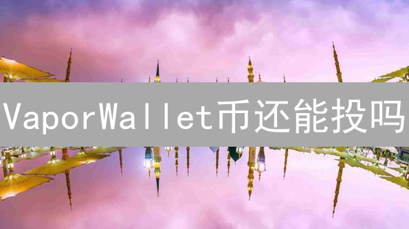 VaporWallet币还能投吗？深度剖析风险与价值！